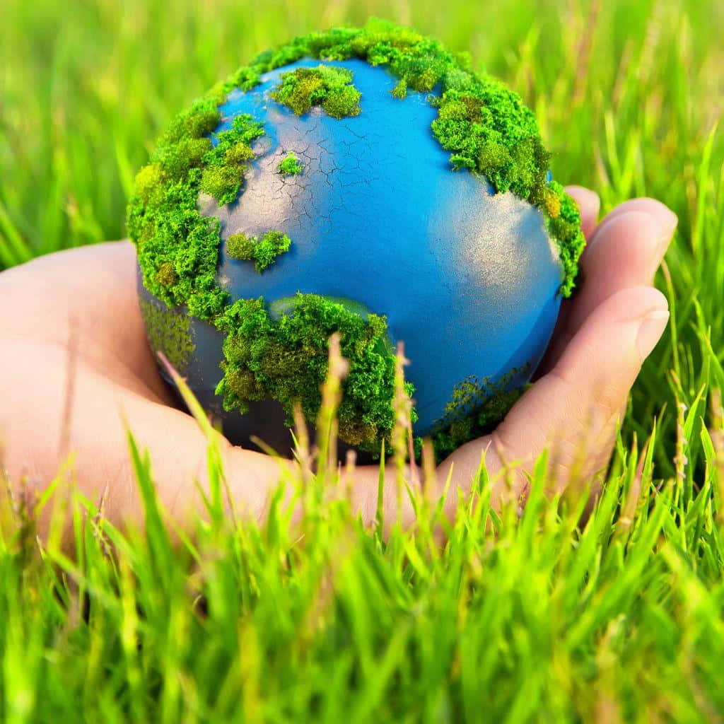 Environment Earth On A Hand Wallpaper