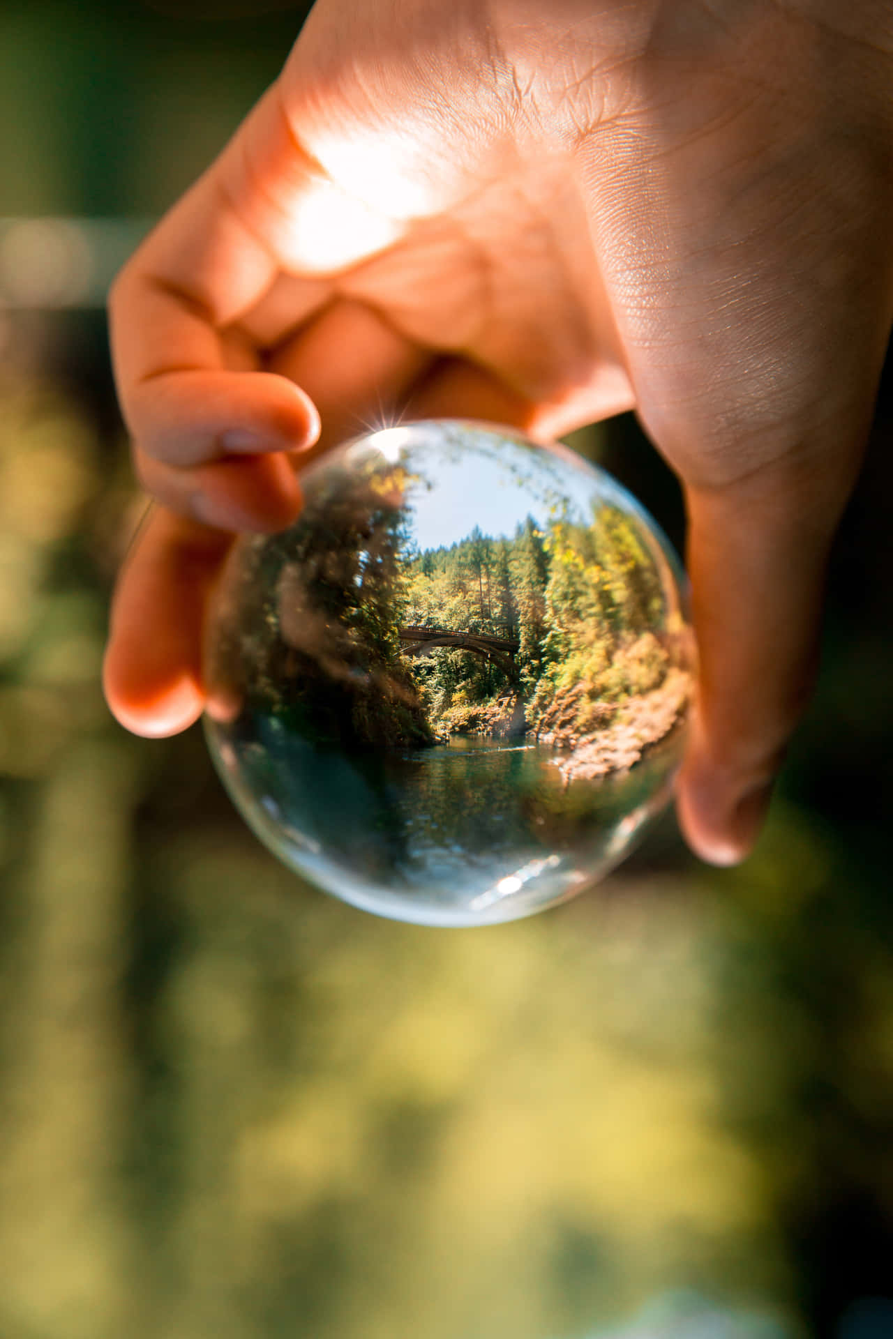 Environment Glass Ball Mirror Nature Wallpaper