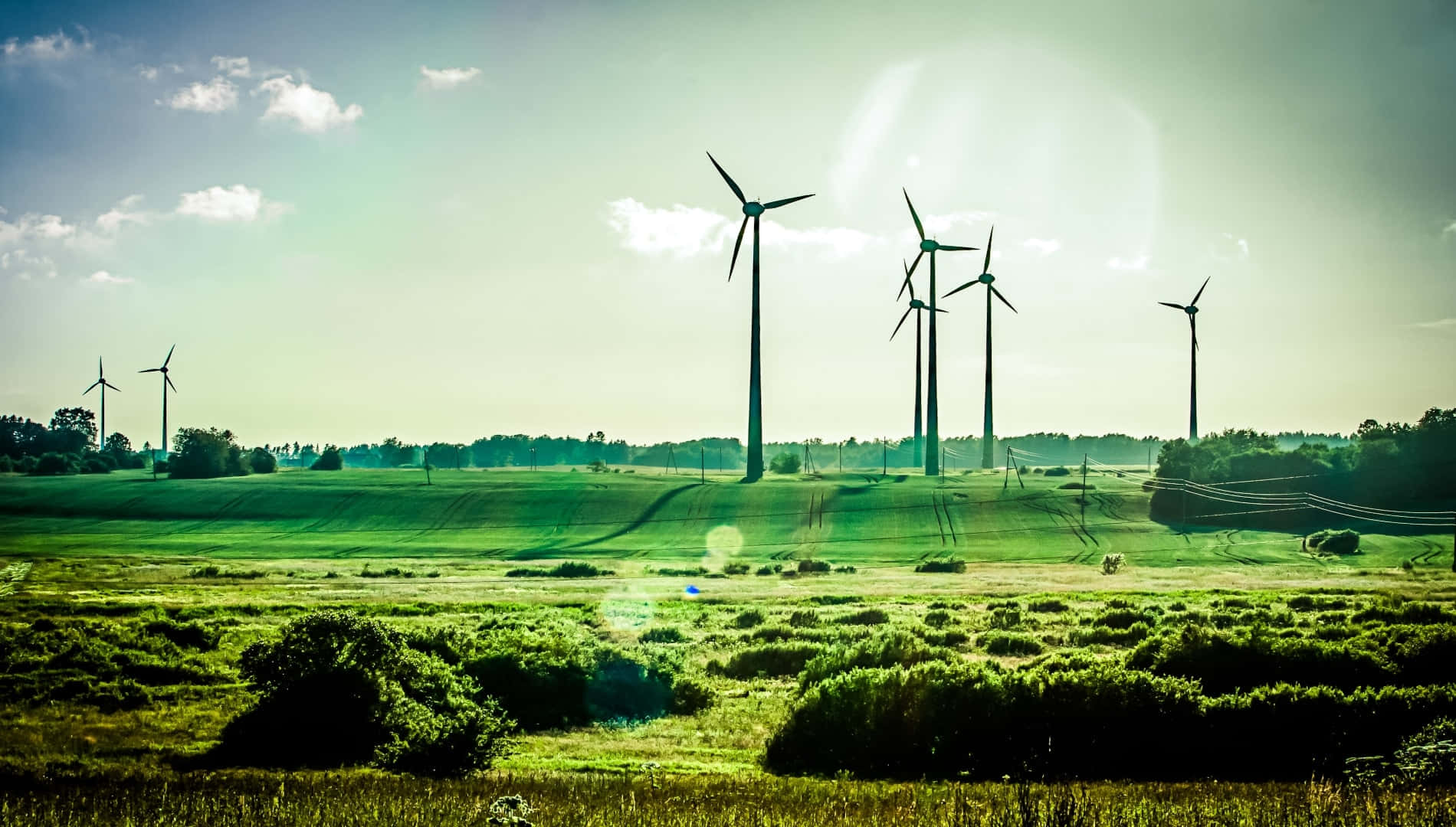 Wind Turbines In A Field With Grass And Sun Wallpaper