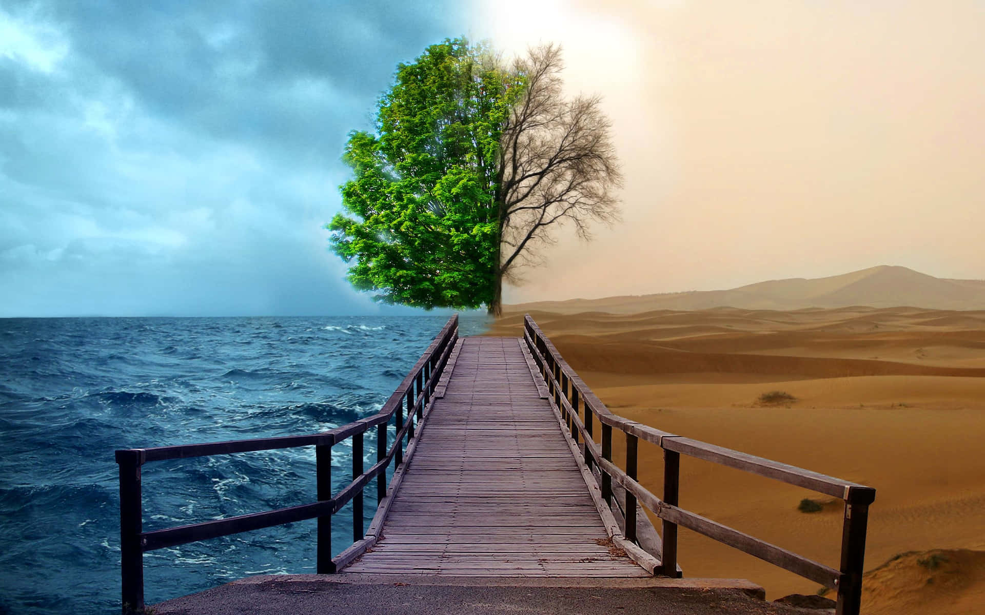 Environment Two Sides Sea And Desert Wallpaper