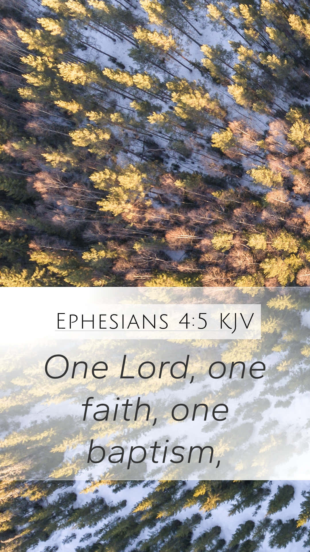 Ephesians45 Faith Bible Verse Wallpaper