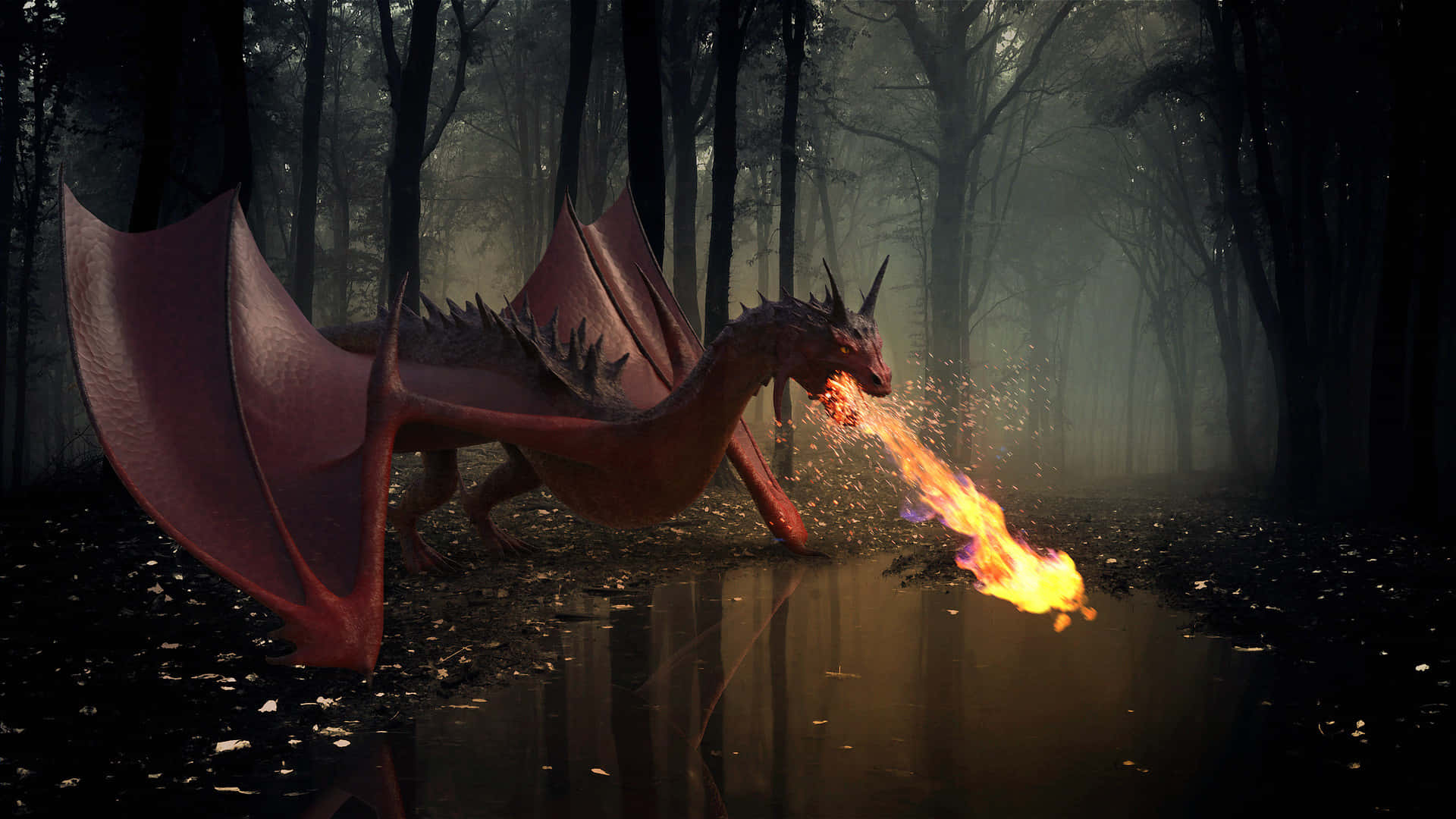 A powerful dragon soars above a dense, misty forest Wallpaper