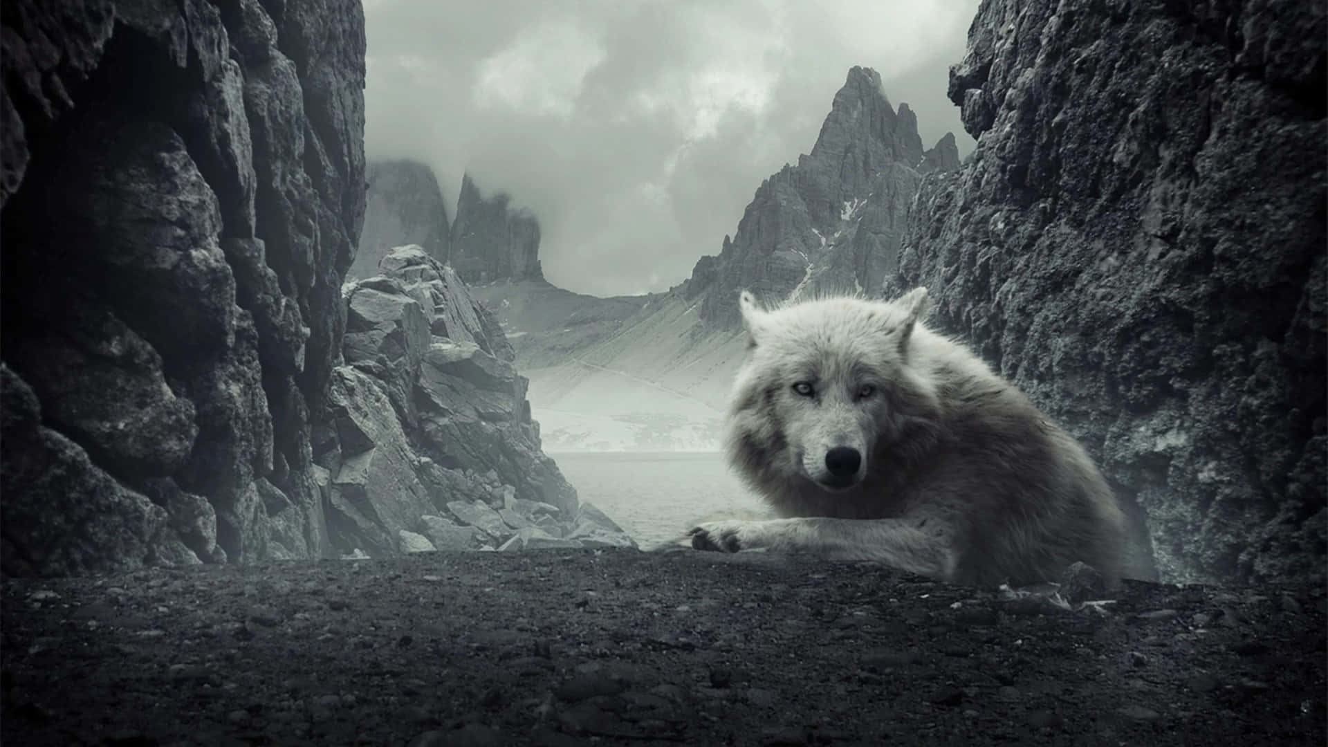 En episk ulv med en enorm landskab Wallpaper