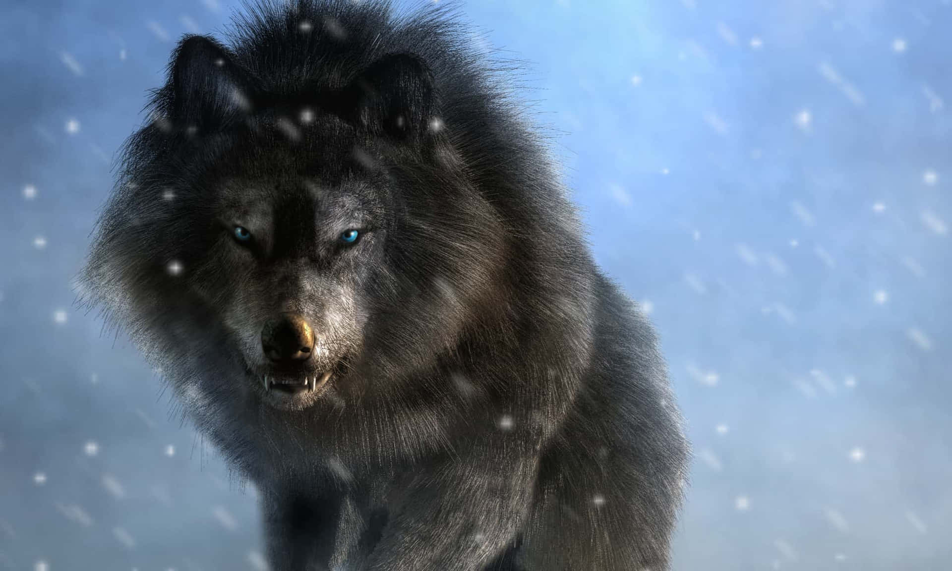 Einwolf Geht Durch Den Schnee Wallpaper