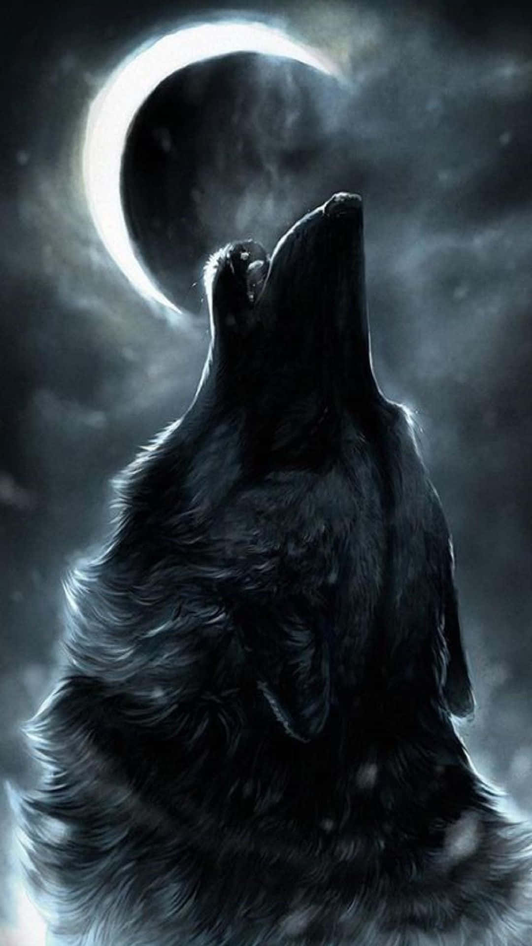A majestic and powerful grey wolf howls at the sky Wallpaper