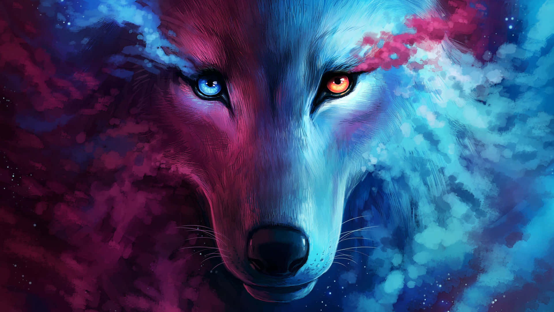 esTo majestætiske ulve i en mark af vilde græsser. Wallpaper