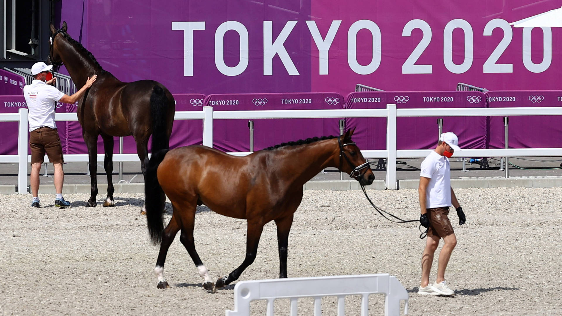 Equestrian Dressage Horse Inspection Tokyo 2020 Olympics Wallpaper