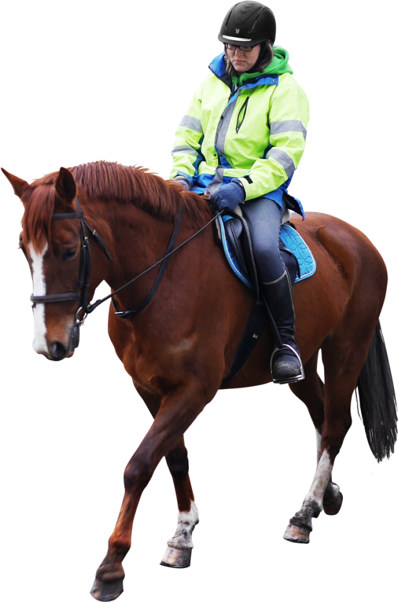 Equestrian Riderin Hi Vis Gear PNG