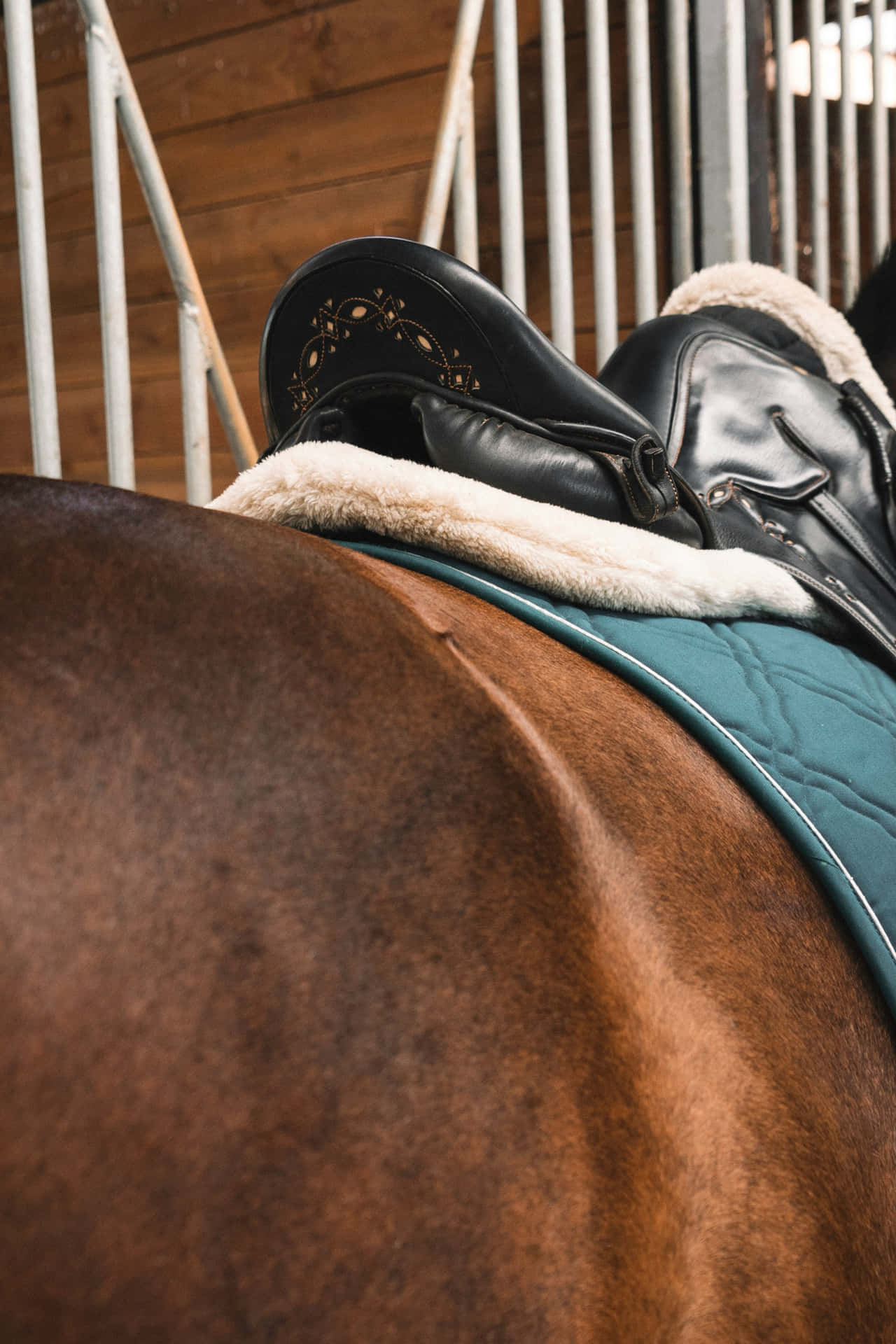 Paardenzadel Op Paardrug Stal Setting Achtergrond