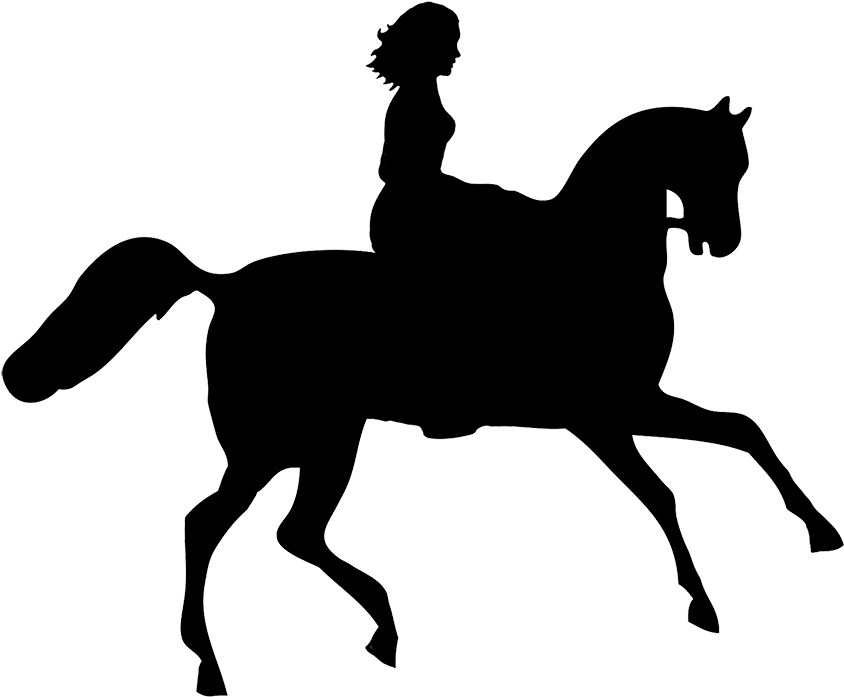 Equestrian Silhouette Profile PNG