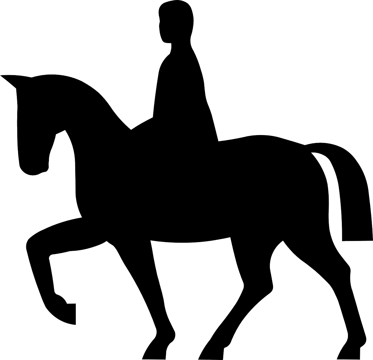 Equestrian Silhouette Rideron Horseback PNG
