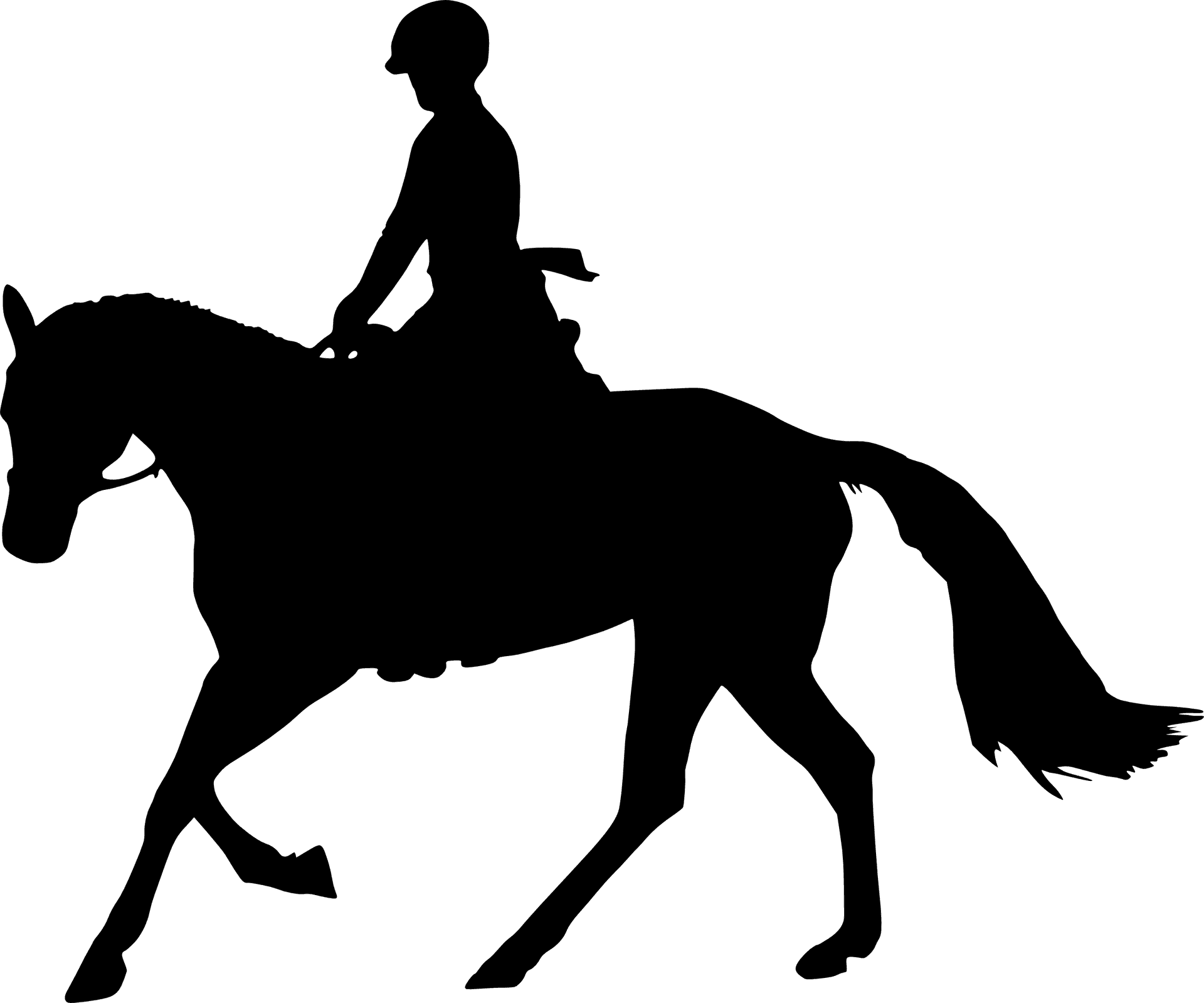 Equestrian Silhouette Riding Horse PNG