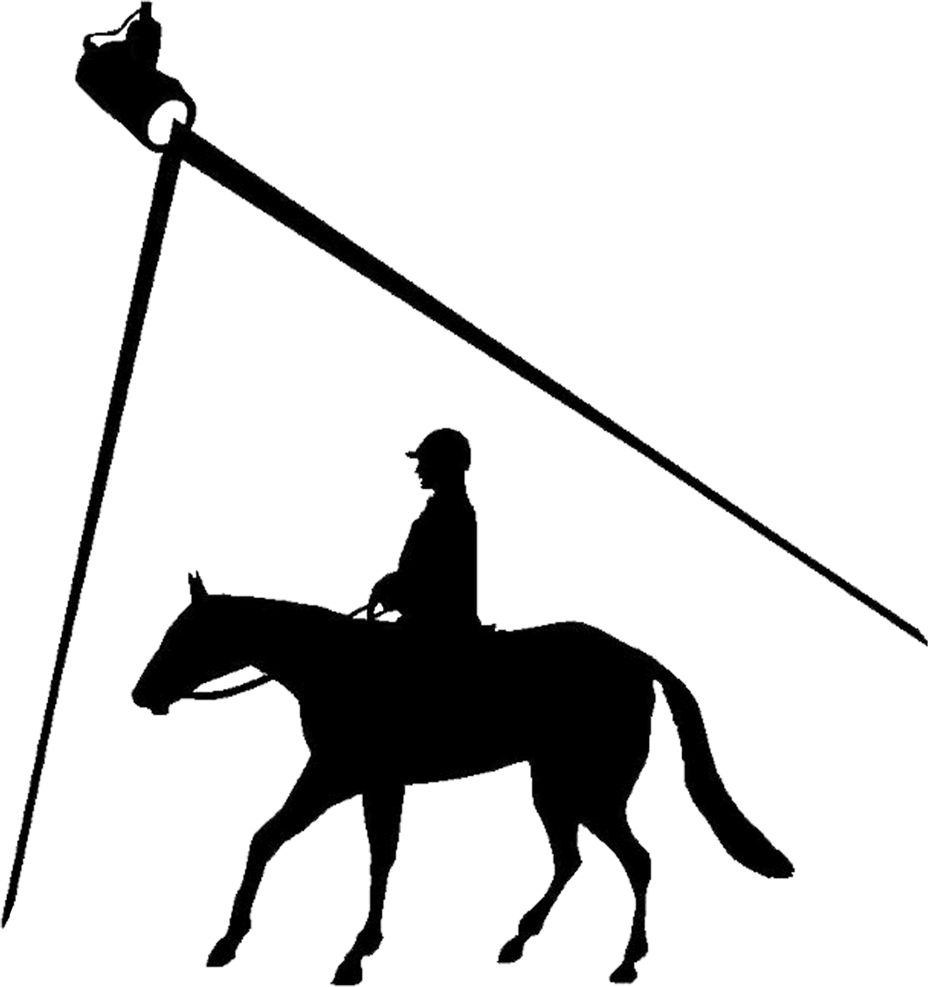 Equestrian Silhouette Under Streetlight PNG