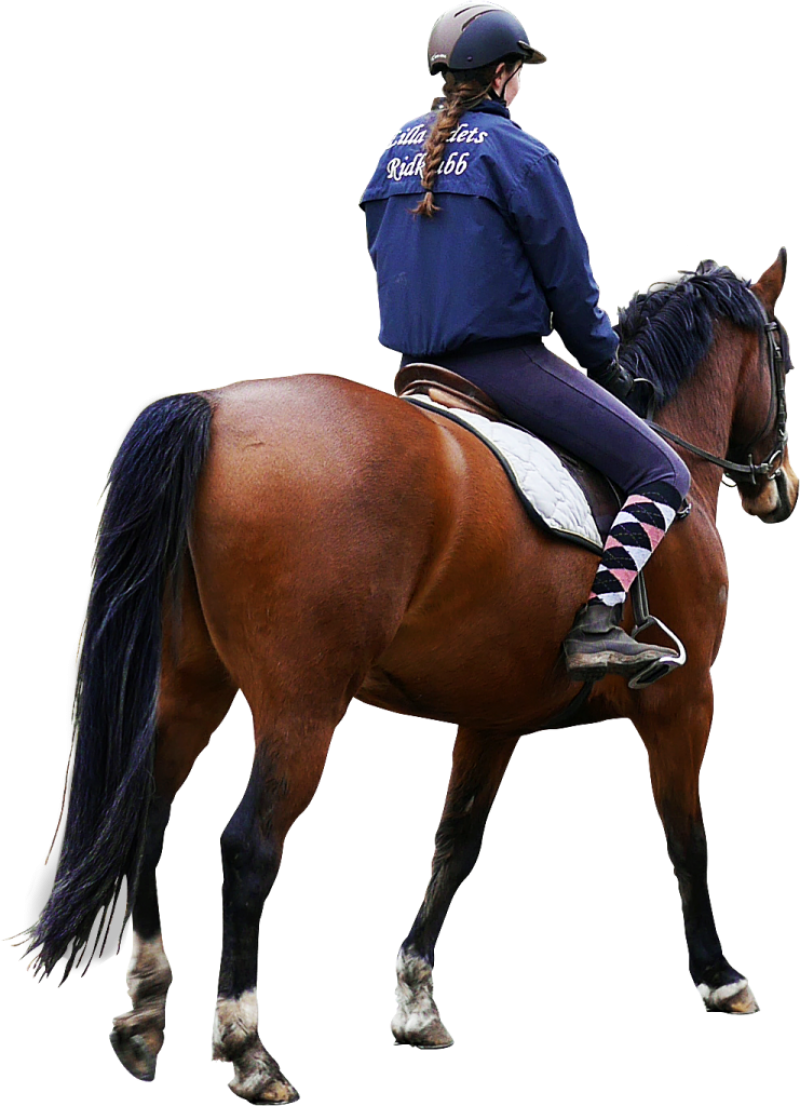 Equestrian_ Practice_ Session PNG