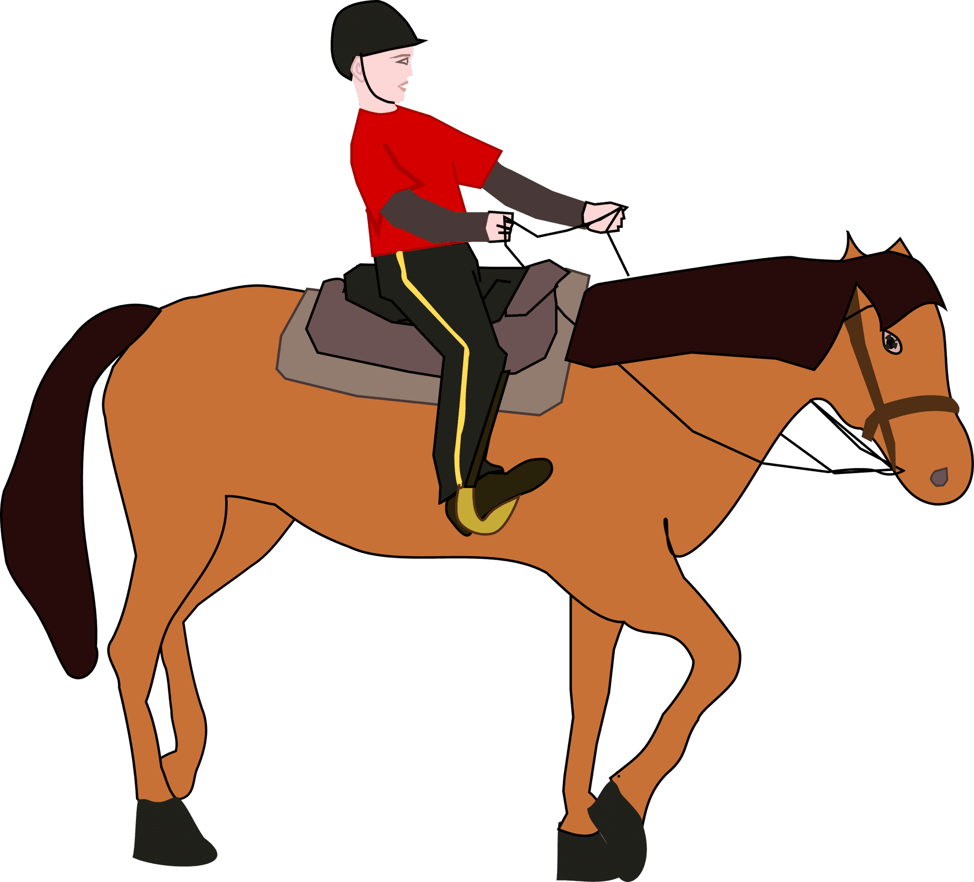 Equestrian_ Rider_in_ Red_ Shirt PNG