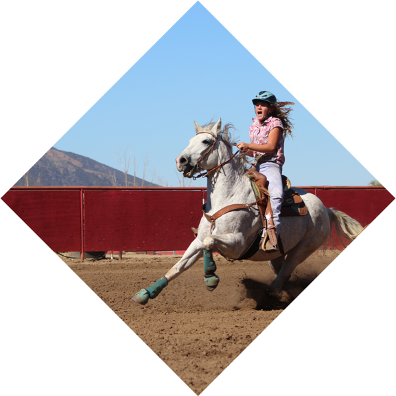 Equestrianin Action Galloping Horse.jpg PNG
