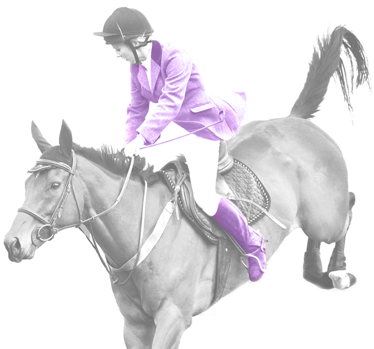 Equestrianin Purple Jacket Riding Horse PNG
