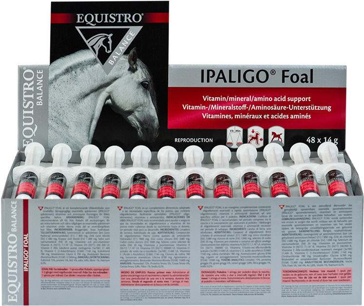 Equistro Ipaligo Foal Supplement Packaging PNG