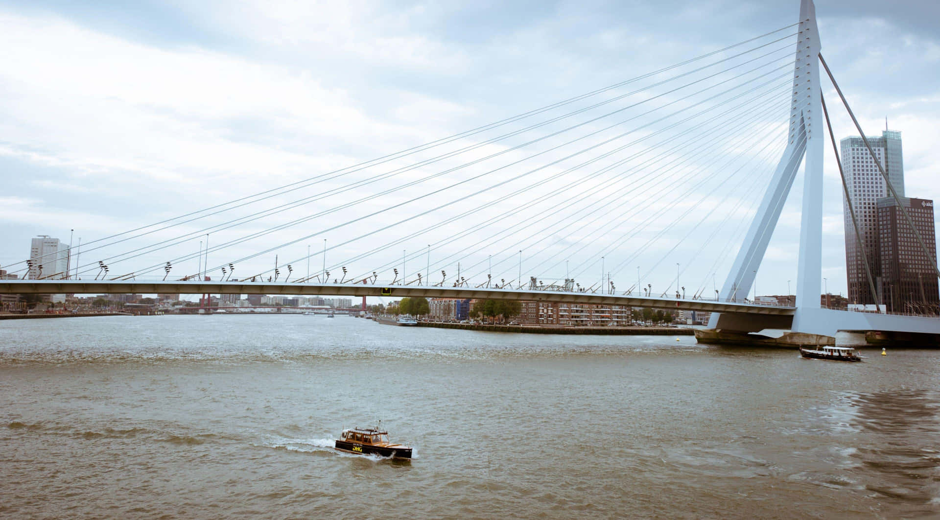 Erasmusbroen Rotterdam Vannvei Bakgrunnsbildet