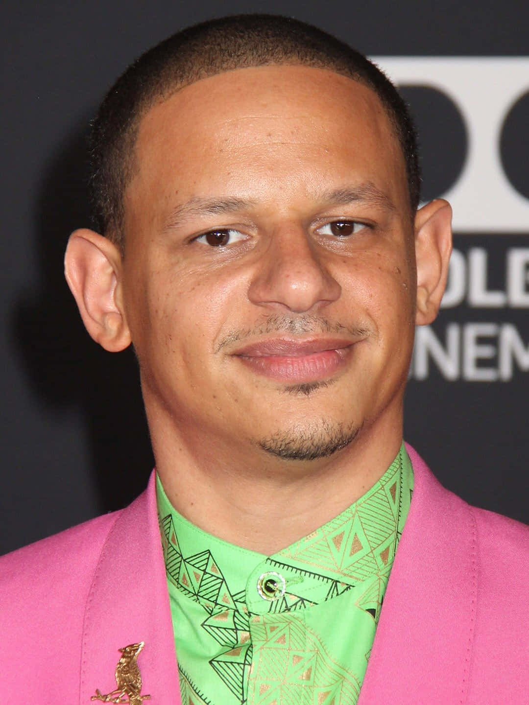 Eric Andre Pink Blazer Wallpaper