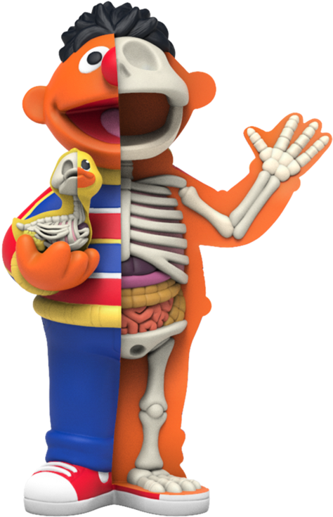 Ernie Anatomy Lesson Sesame Street PNG