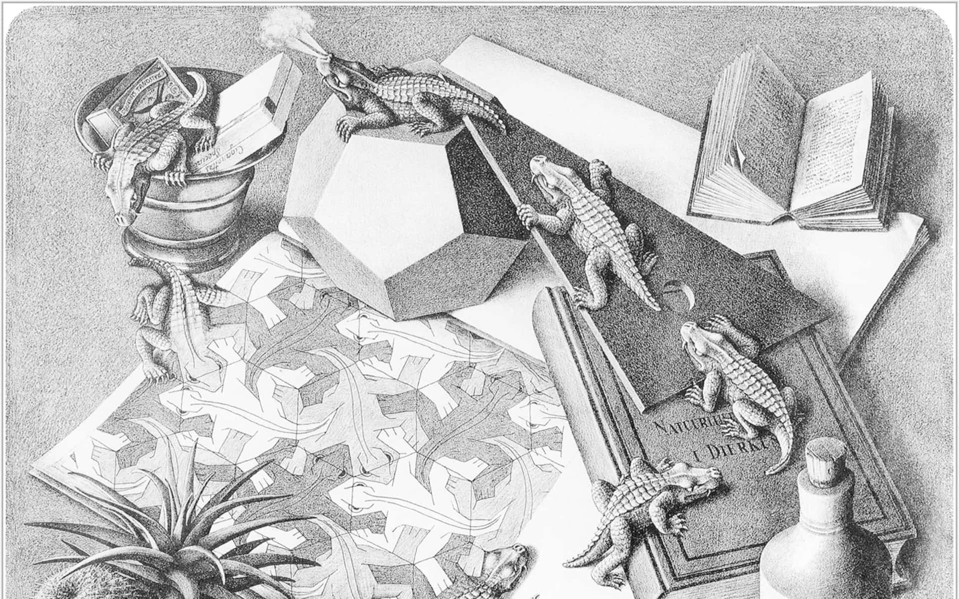 Et tegning af en krokodille, en bog og et vase med blomster Wallpaper