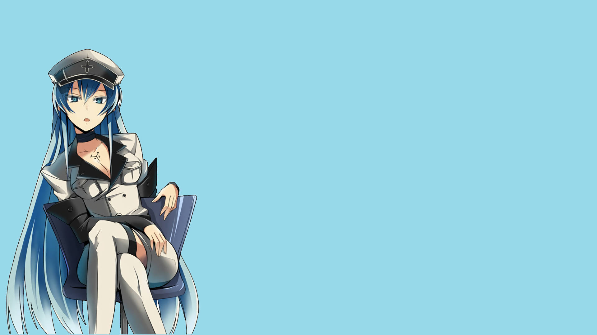 Esdeath Wallpapers 80 pictures