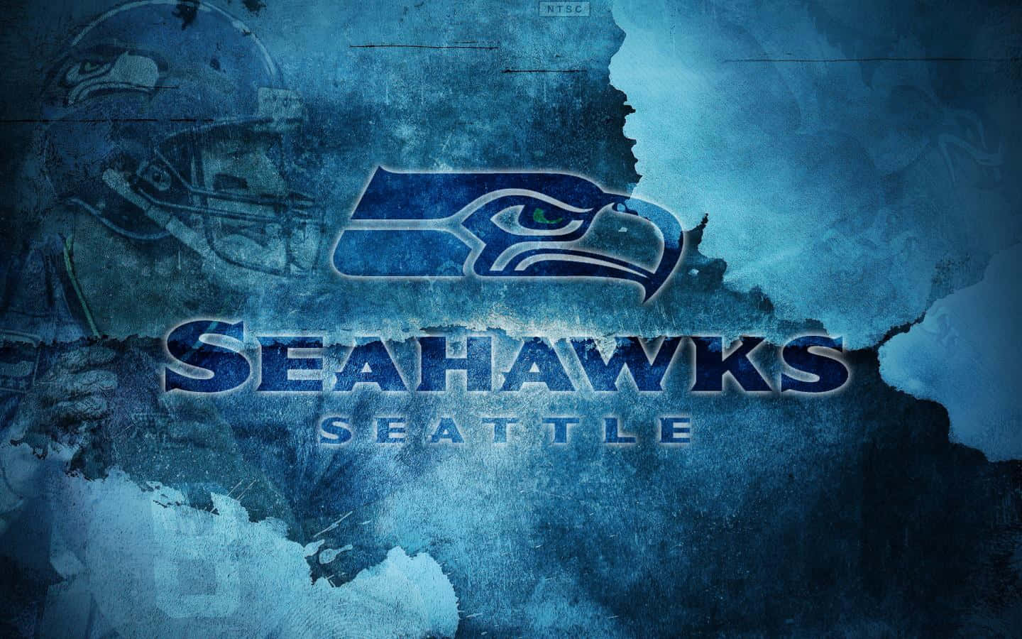 Espíritude Los Seattle Seahawks En Acción