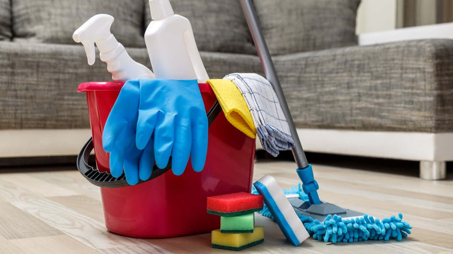 Essential Cleaning Tools Wallpaper