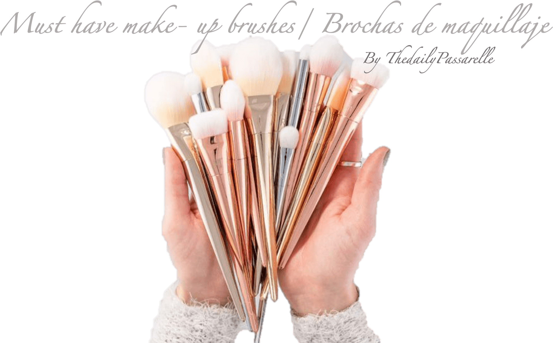 Essential Makeup Brushes Collection PNG