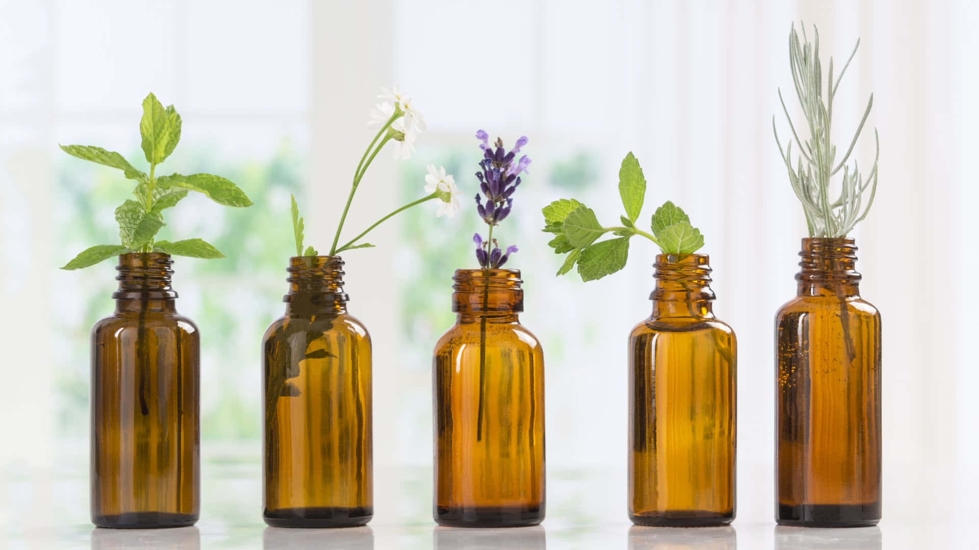 Essential Oil is Nature's Remedy Wallpaper