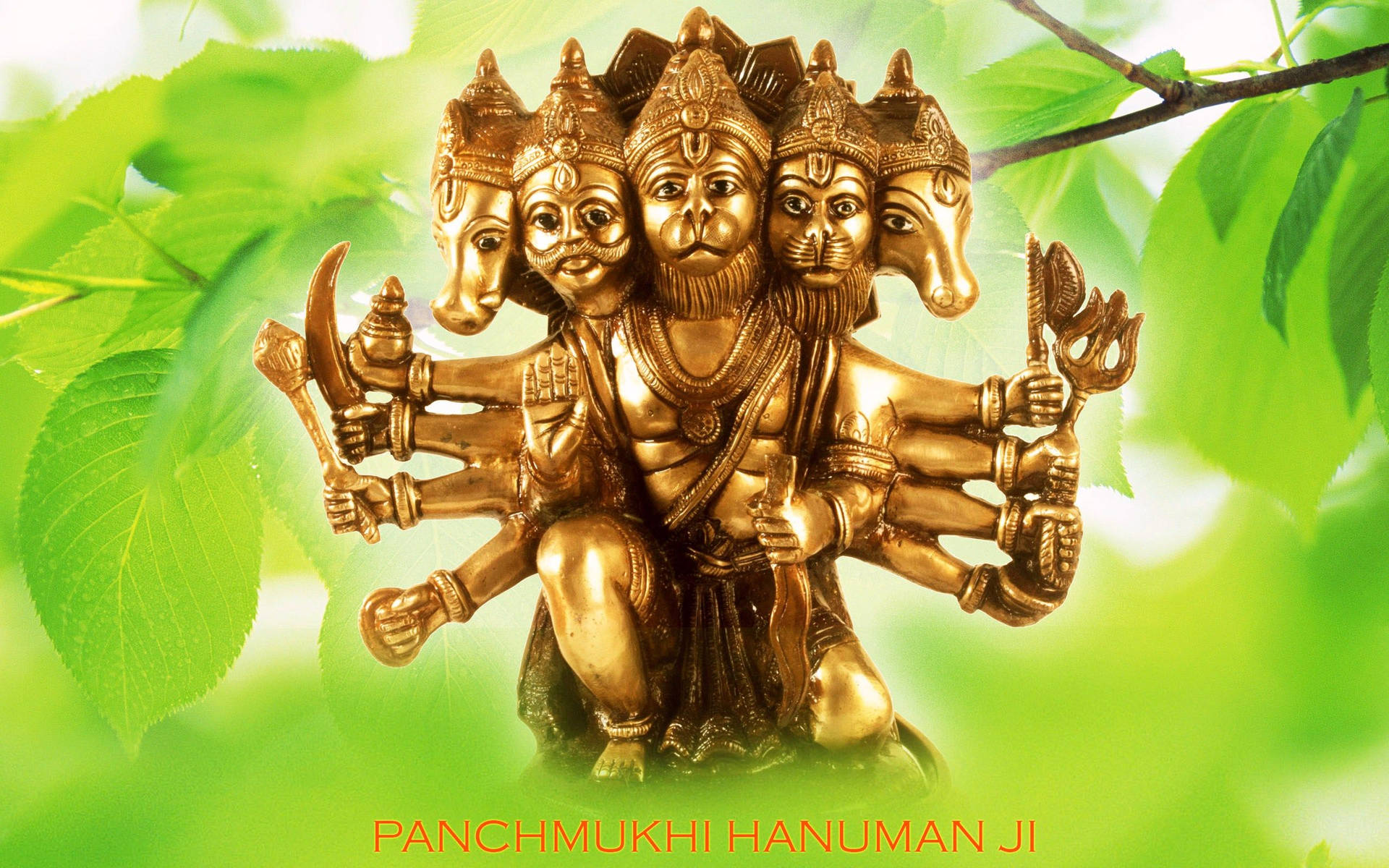 Estátua Dourada Da Divindade Panchmukhi Hanuman Papel de Parede