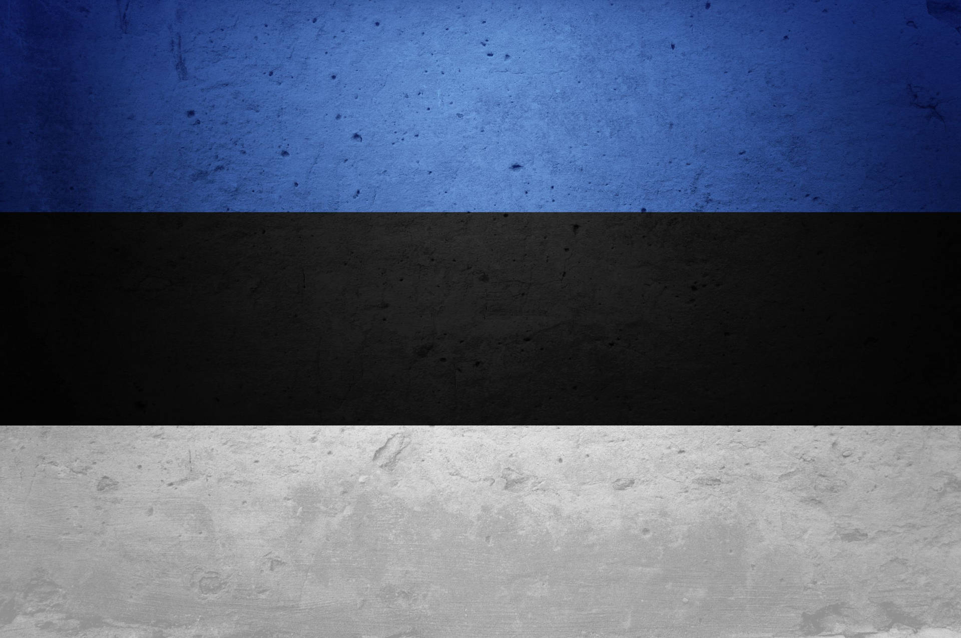 Estland Flag Med Beton Texture Wallpaper