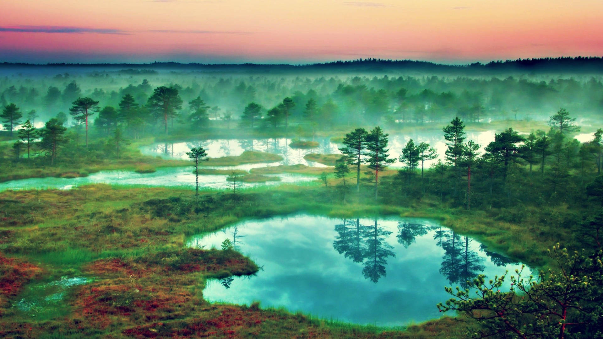 Estonia Foggy Wetlands Wallpaper