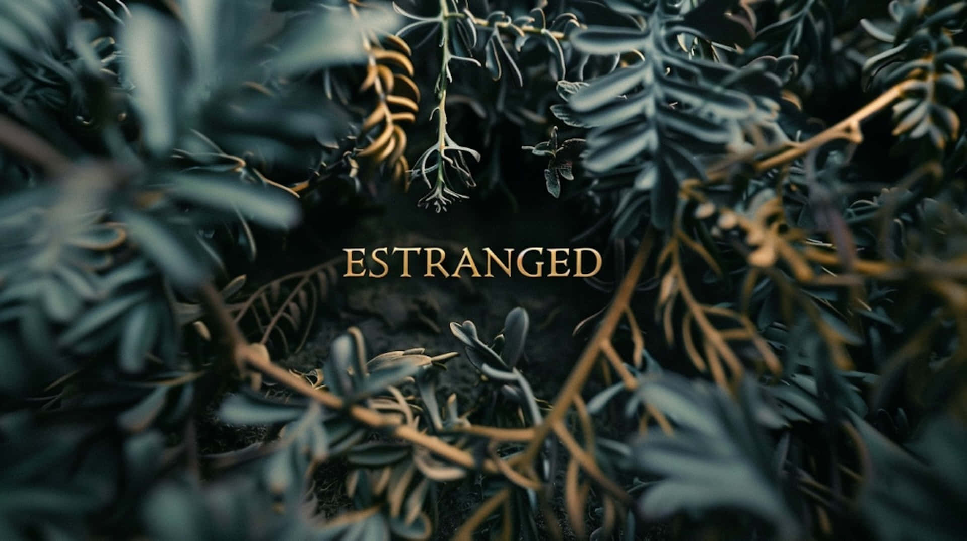 Estranged Nature Backdrop Wallpaper