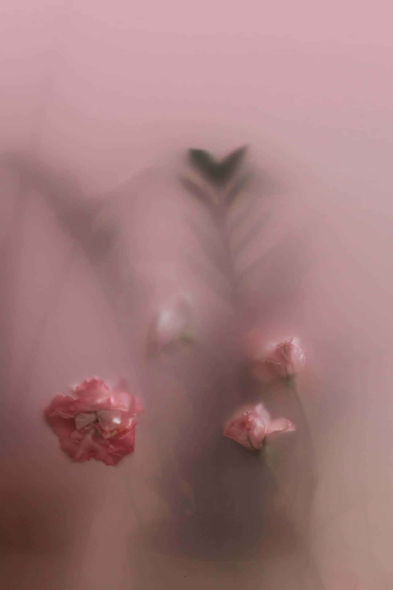 Ethereal Floral Blur.jpg Wallpaper