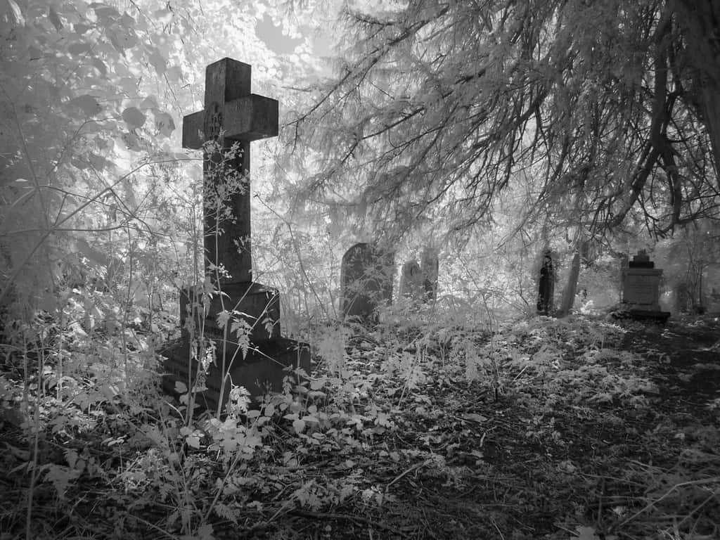 Ethereal Infrared Cemetery Norwich Wallpaper
