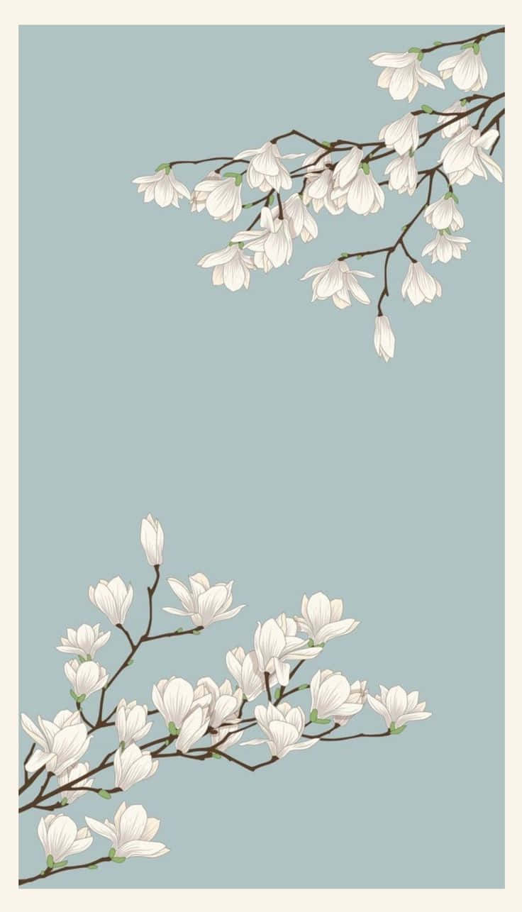 Ethereal Magnolia Blossoms Wallpaper