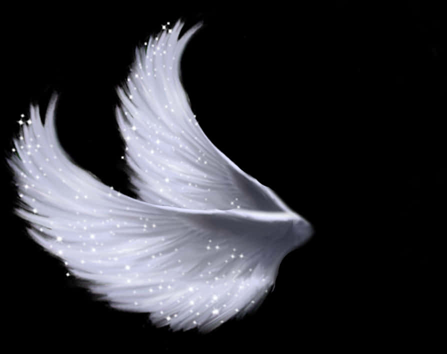 Ethereal White Wingson Black PNG