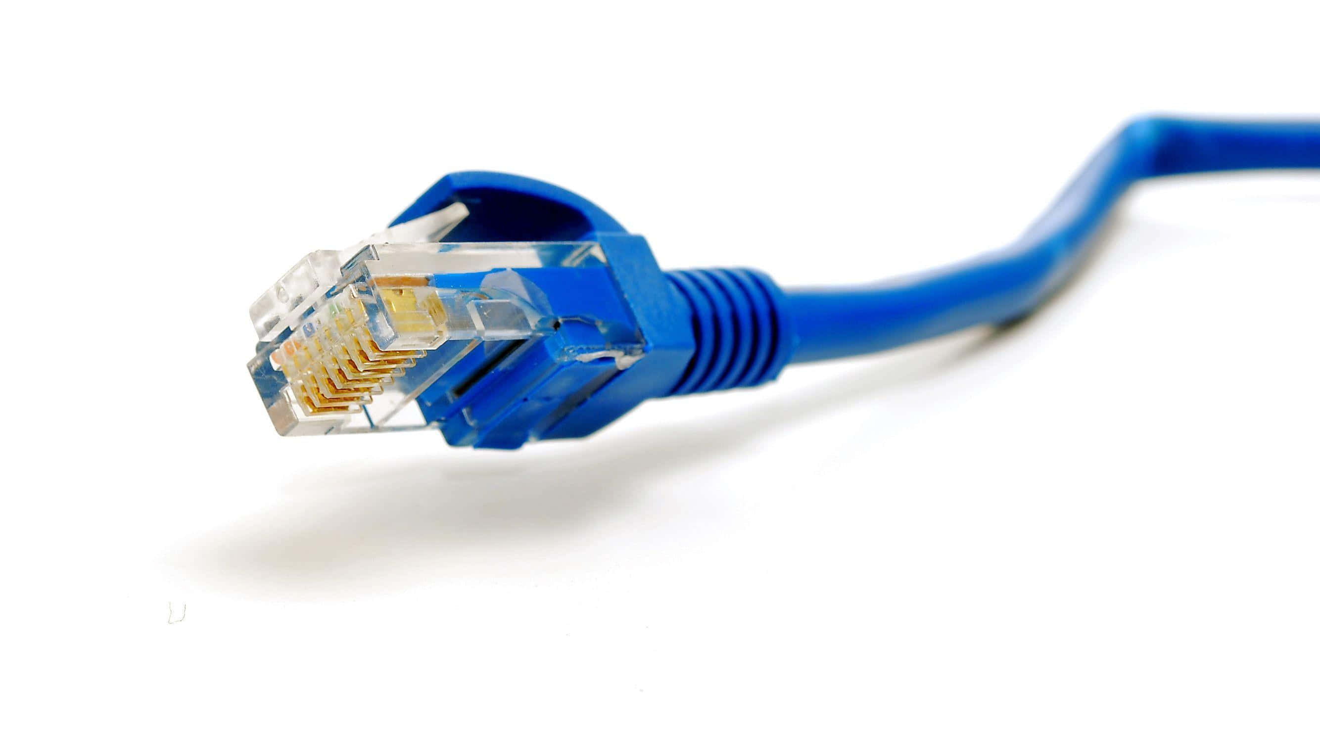 Expand Your Network with Ethernet Wallpaper