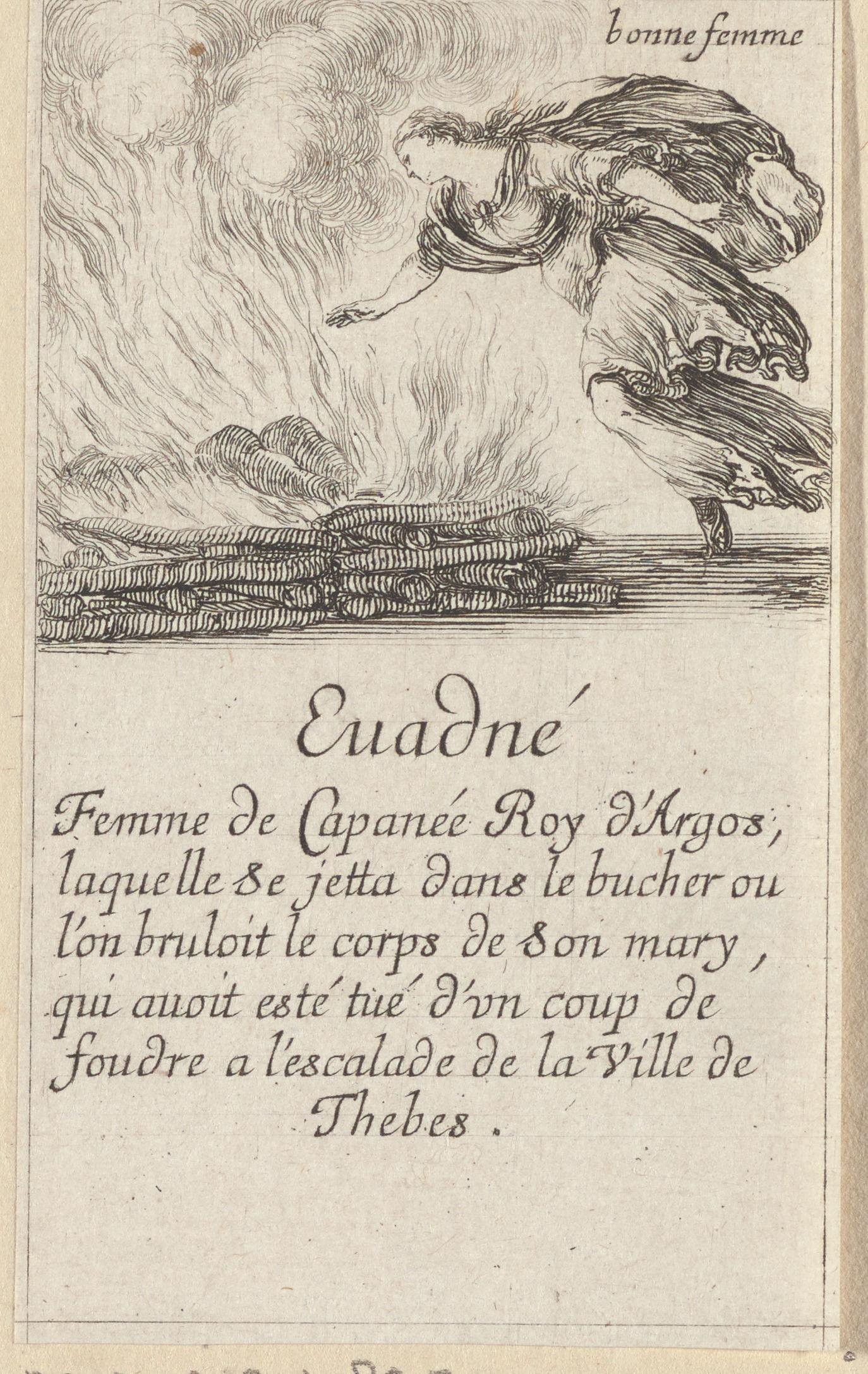 Euadne Wallpaper
