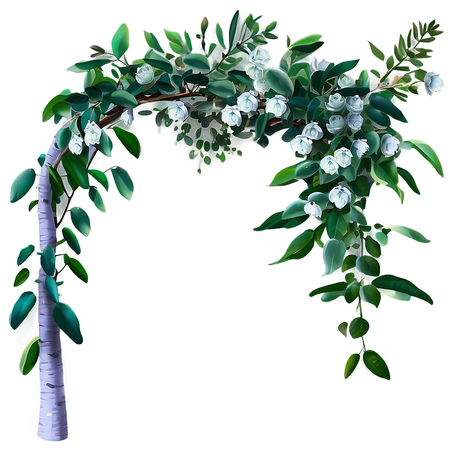 Eucalyptus Branch Arch Png Qje PNG