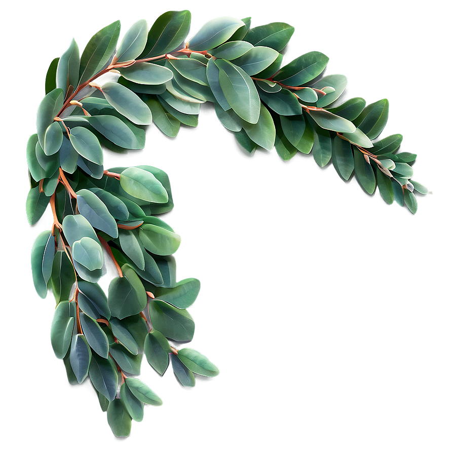 Eucalyptus Branch Arch Png Uqn PNG