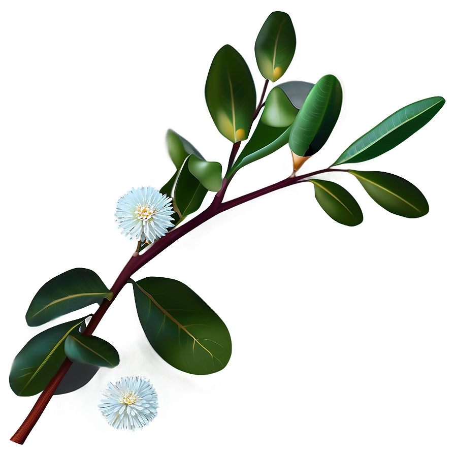 Eucalyptus Branch With Flowers Png Hvy PNG