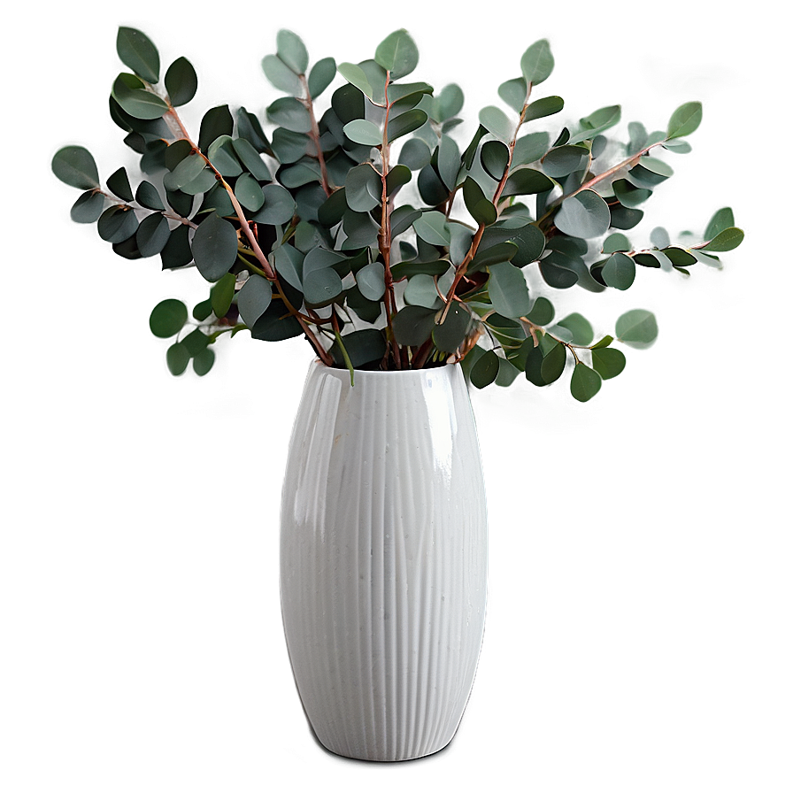 Eucalyptus In Vase Png Gsj76 PNG