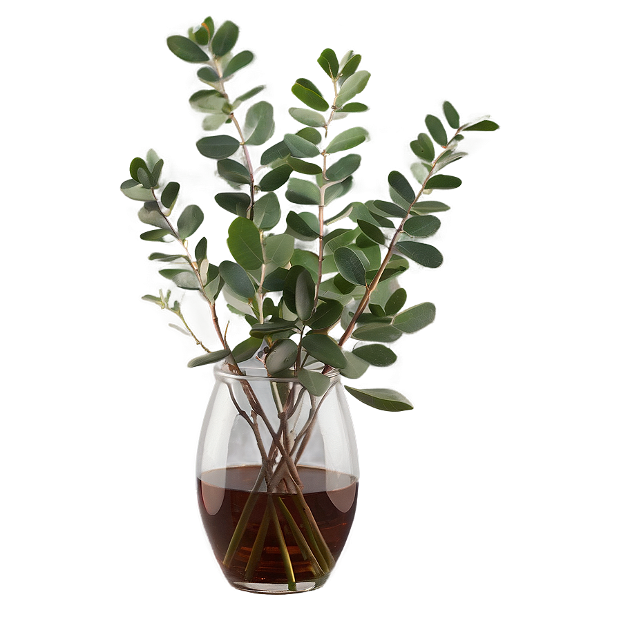 Eucalyptus In Vase Png Lqh77 PNG