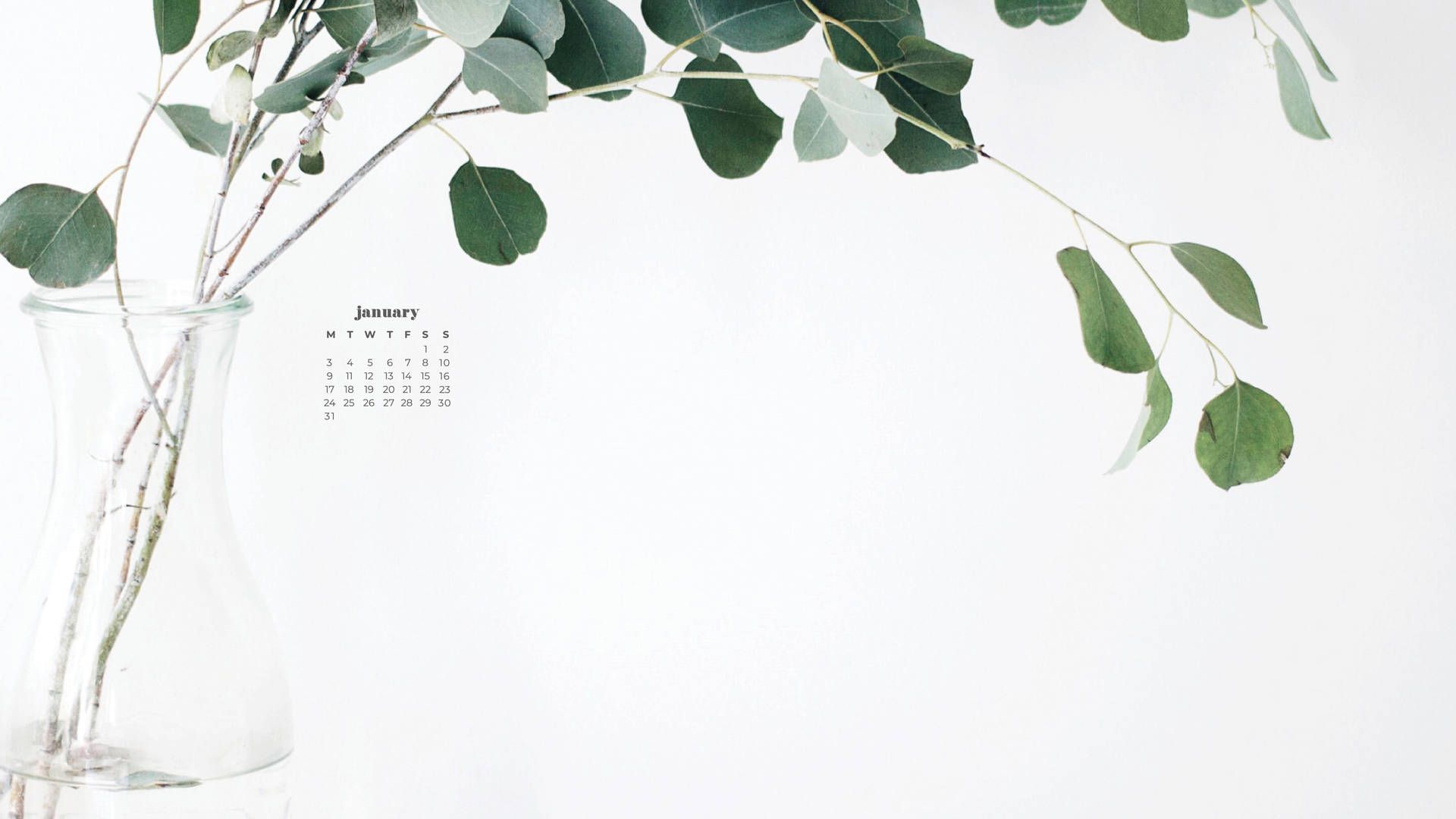 Eucalyptus January 2022 Calendar Wallpaper