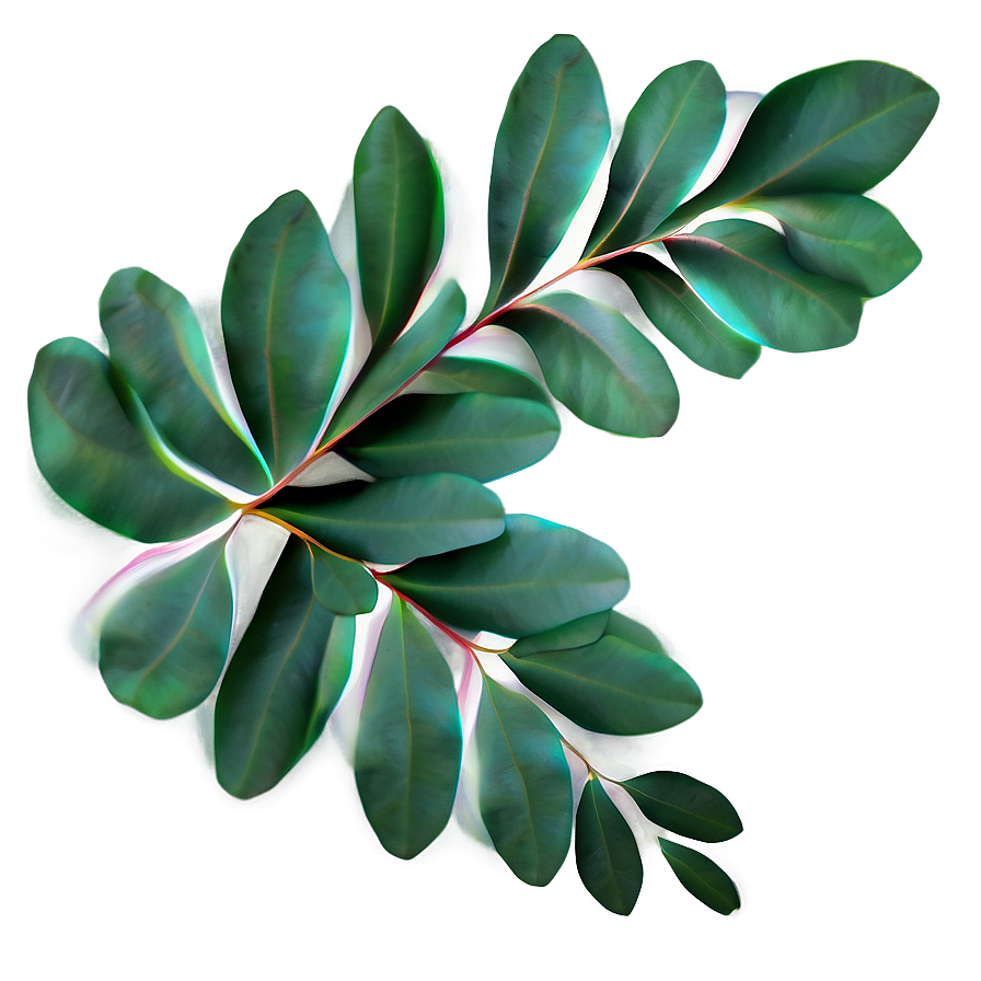 Eucalyptus Leaf Pattern Png 48 PNG