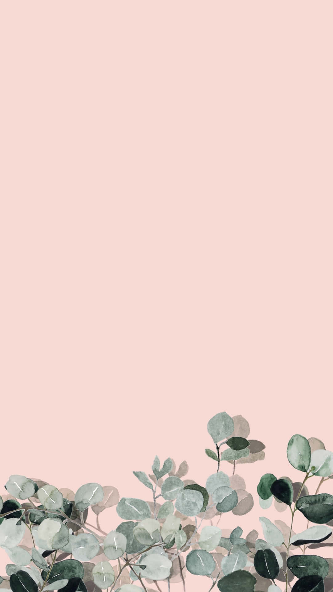 Eucalyptus Sprigs Pink Backdrop Wallpaper