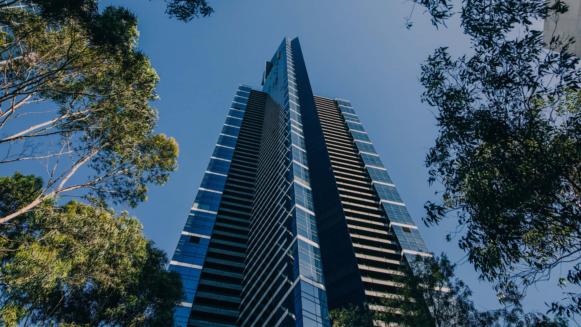 Eureka Tower Skyline Uitzicht Achtergrond